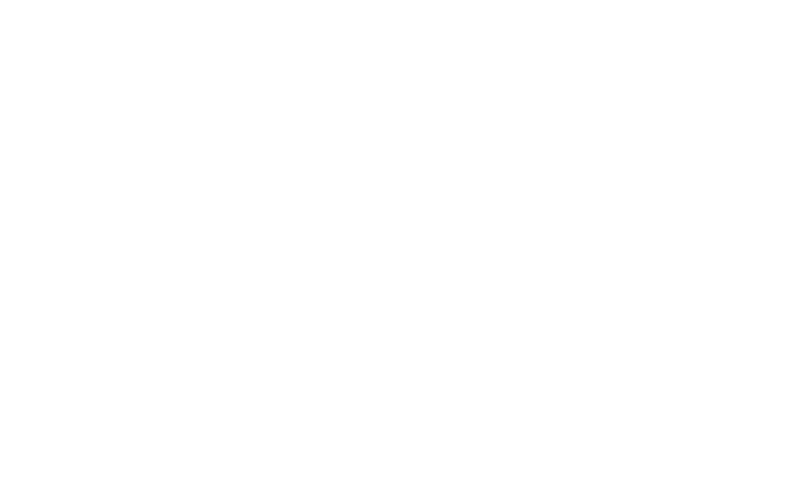 Merlino Media Group logo