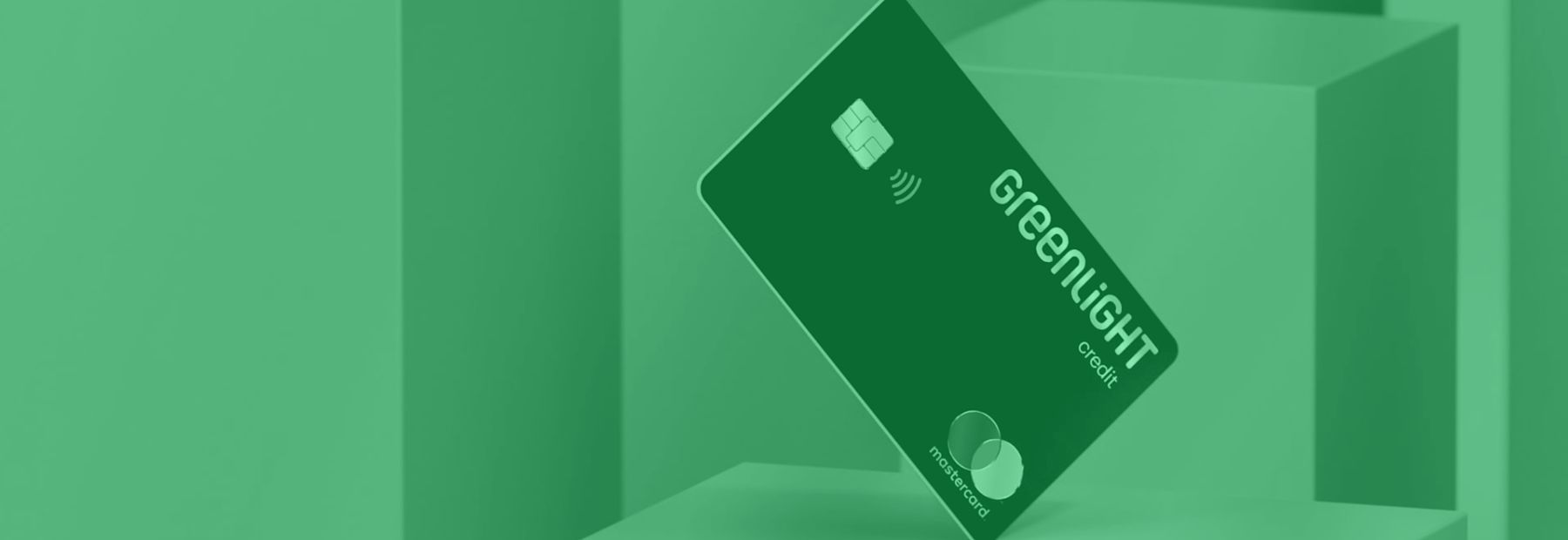 Greenlight Case Study Greenlight Case Study