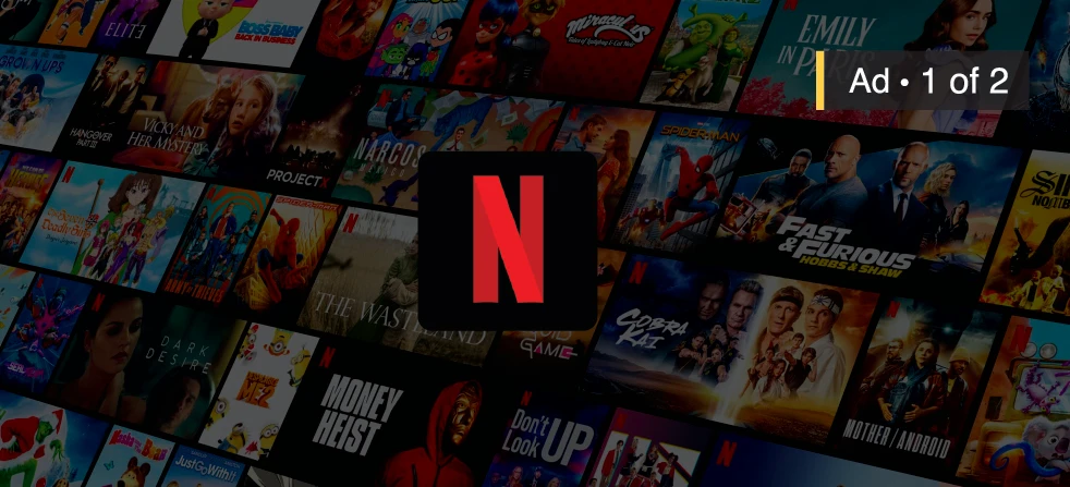 Netflix banner