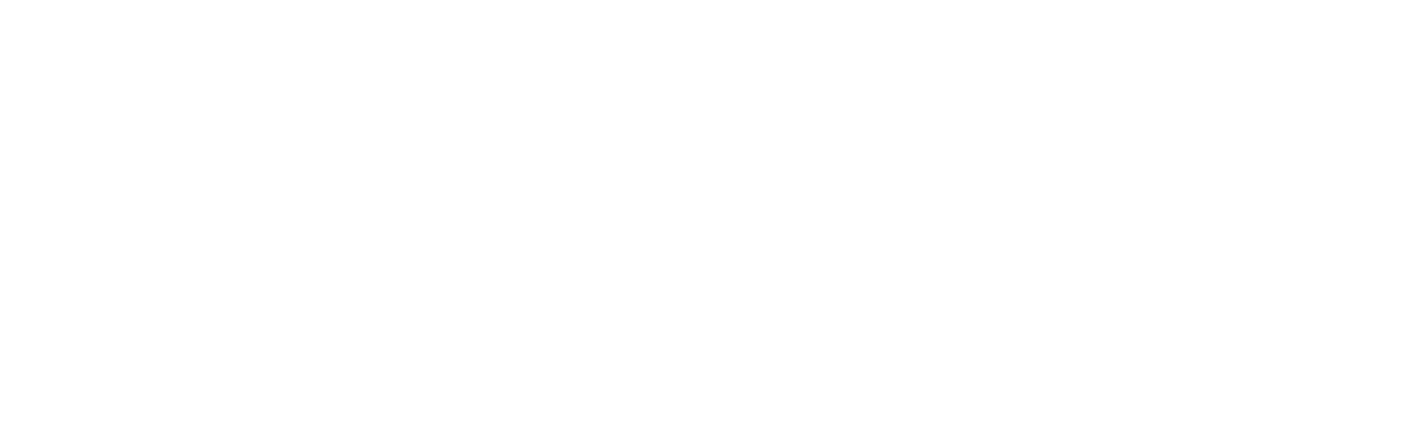 Fiverr Logo White