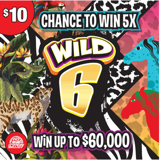 Wild 6 Game Image