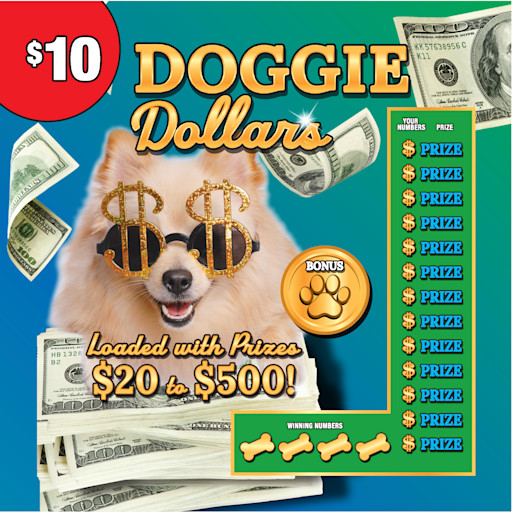 DOGGIE-POOL-CAT-CASH