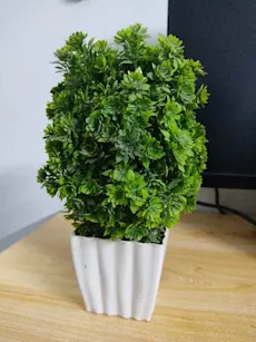 Beautiful Flower Pot for Desk 🌿 - Home Decor, Small Planter, Office Decoration, Indoor Plant Container