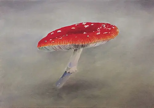 oil on board; 15.5cm x 22cm ; 2018