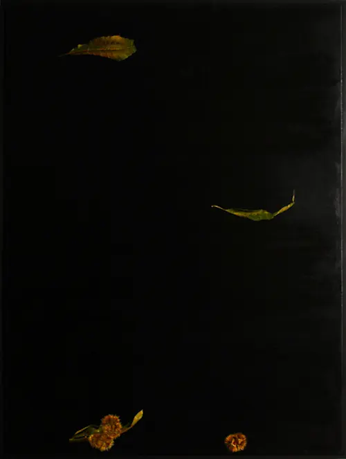 oil on linen; 100cm x 75cm; 2011