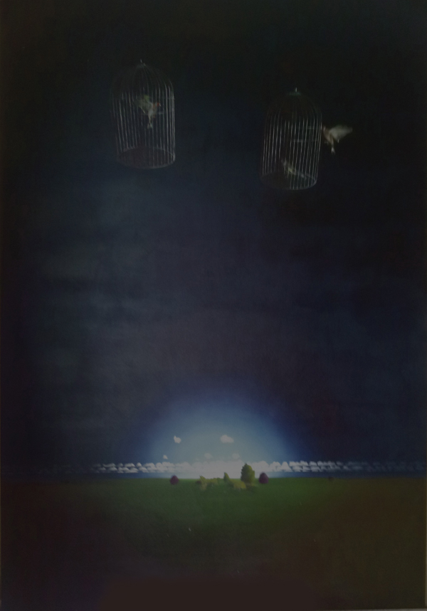oil on canvas; 2m x 1.5m; 2012