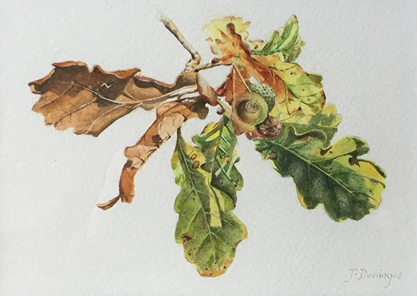 watercolour on paper; 2017