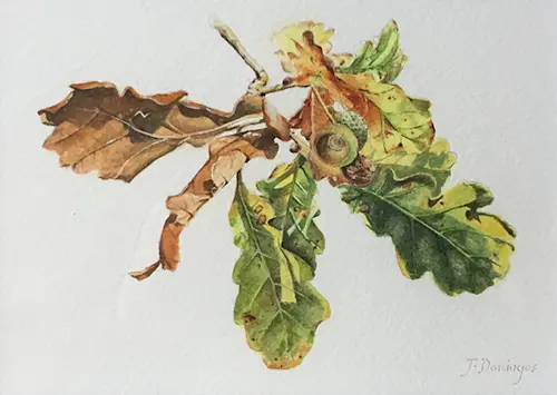 watercolour on paper; 2017