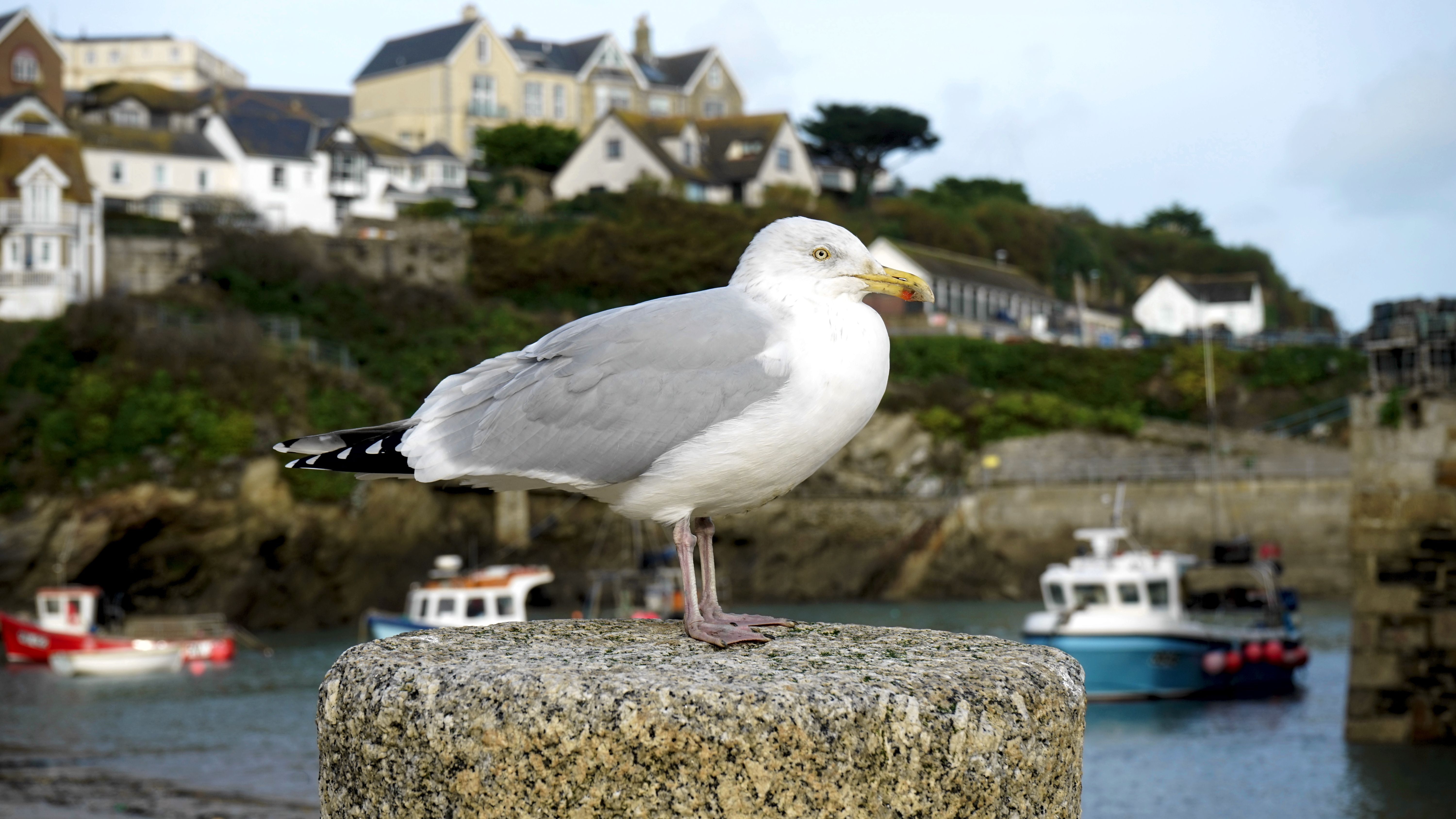 Cornwall