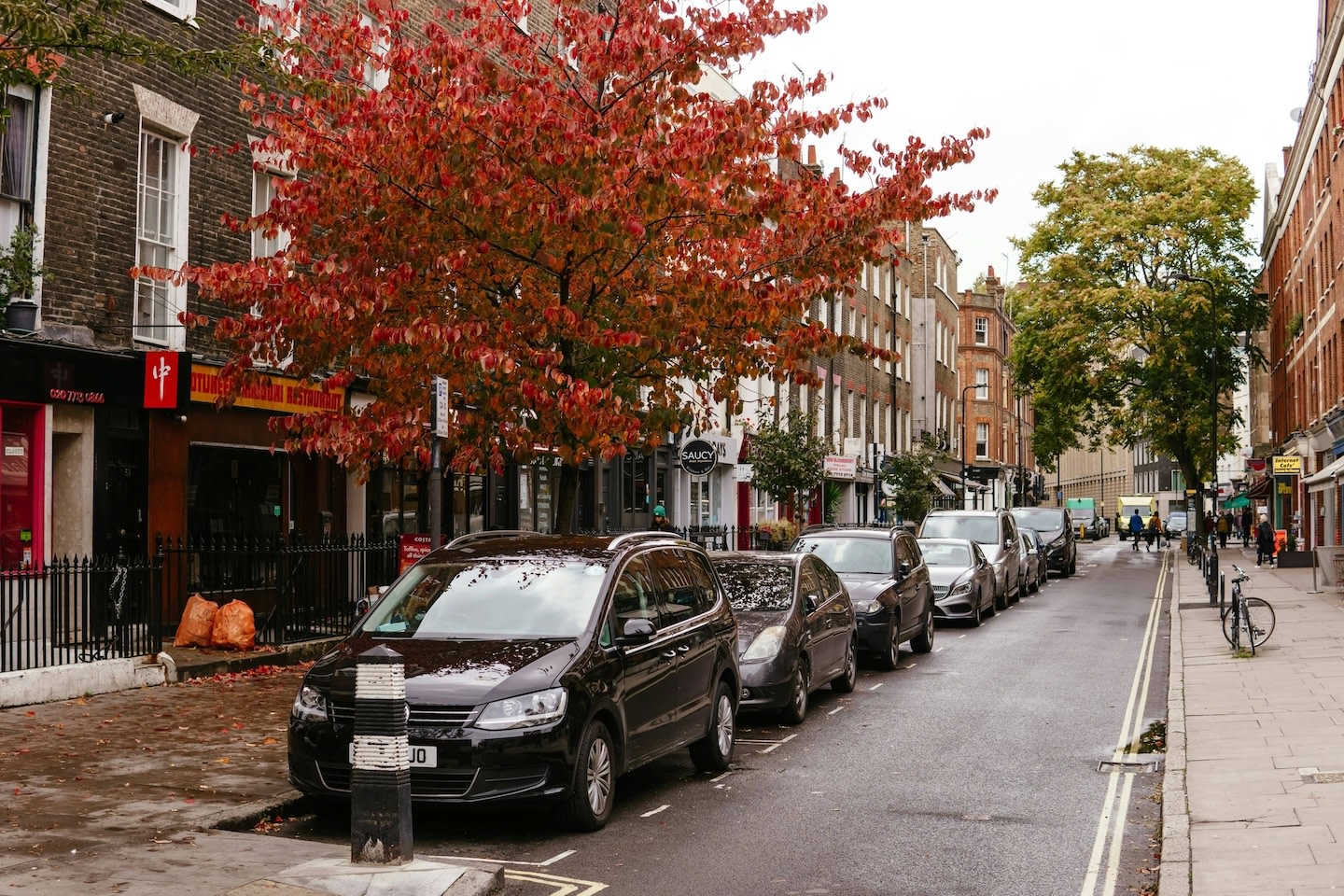 A photo graph depicting an urban street in Autumn with a raw of parked cars