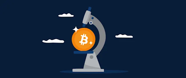 Asset DNA: The Diverging Performance of Store-of-Value Assets