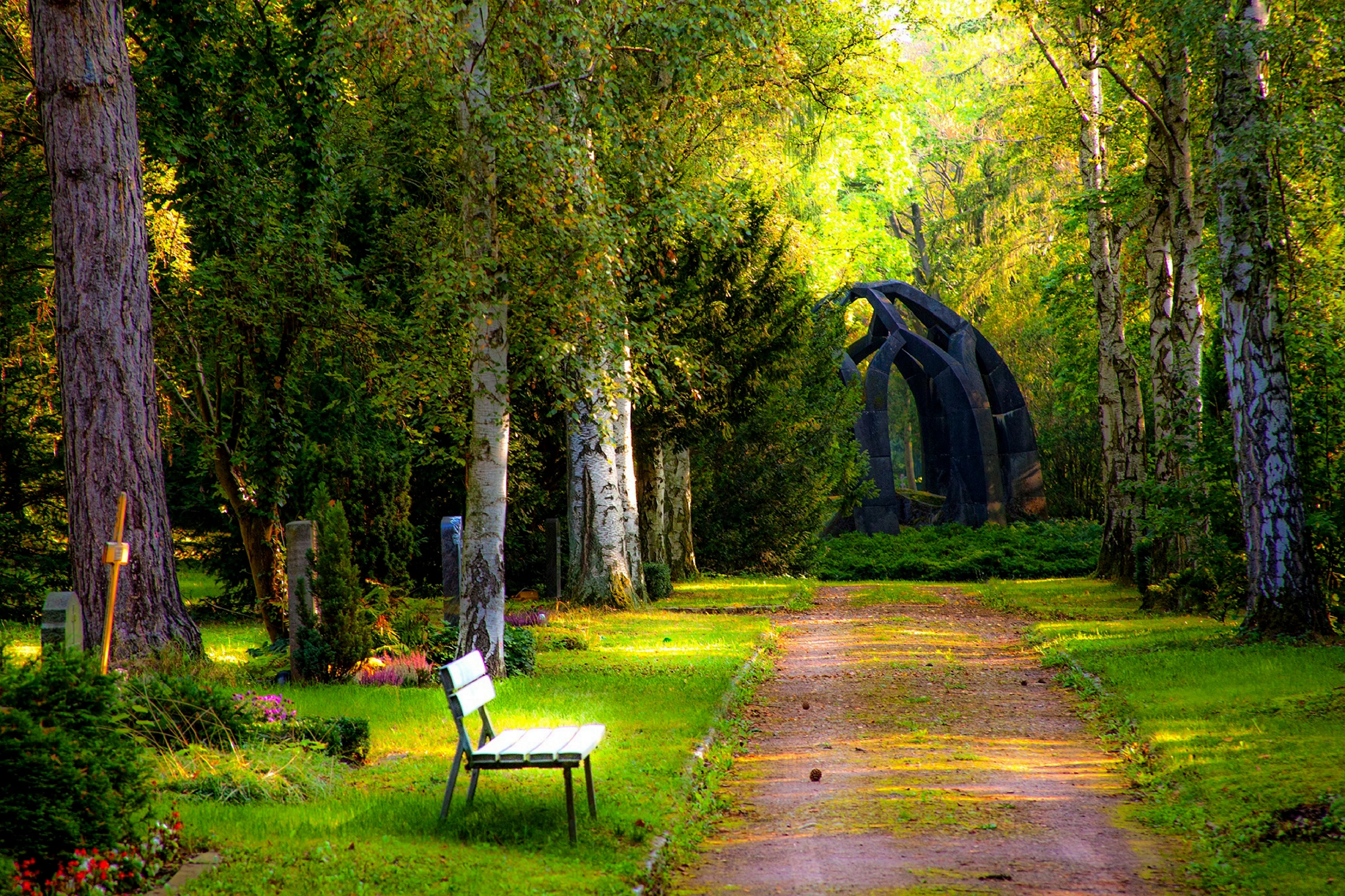 TREES_10MB