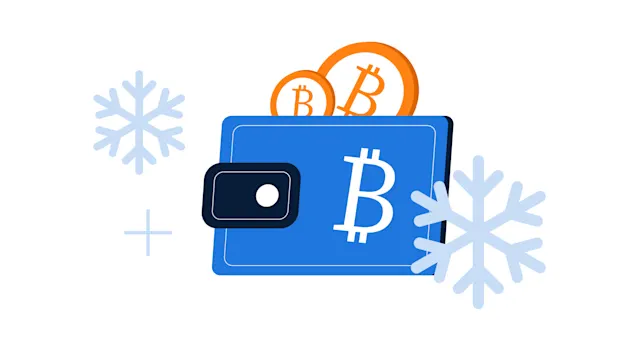 Cold Storage 101: Securing Crypto in the MENA
