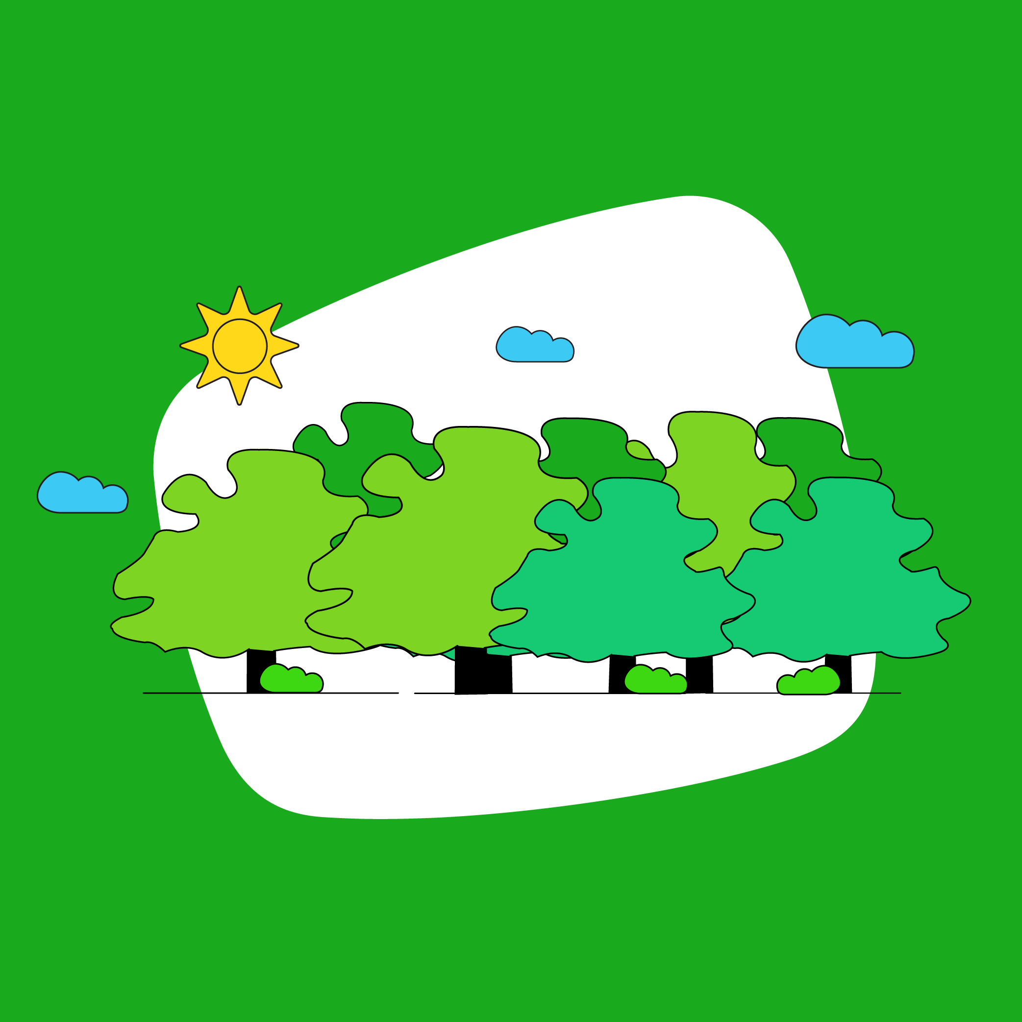 Bäume vor dem Zattoo Logo
