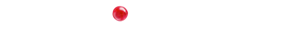 VOX Logo