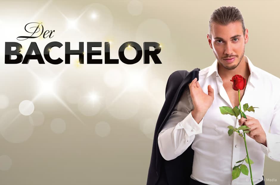 Bachelor 3+ Logo