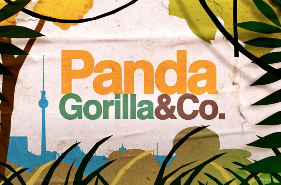 Panda, Gorilla & Co. ARD, SR Logo