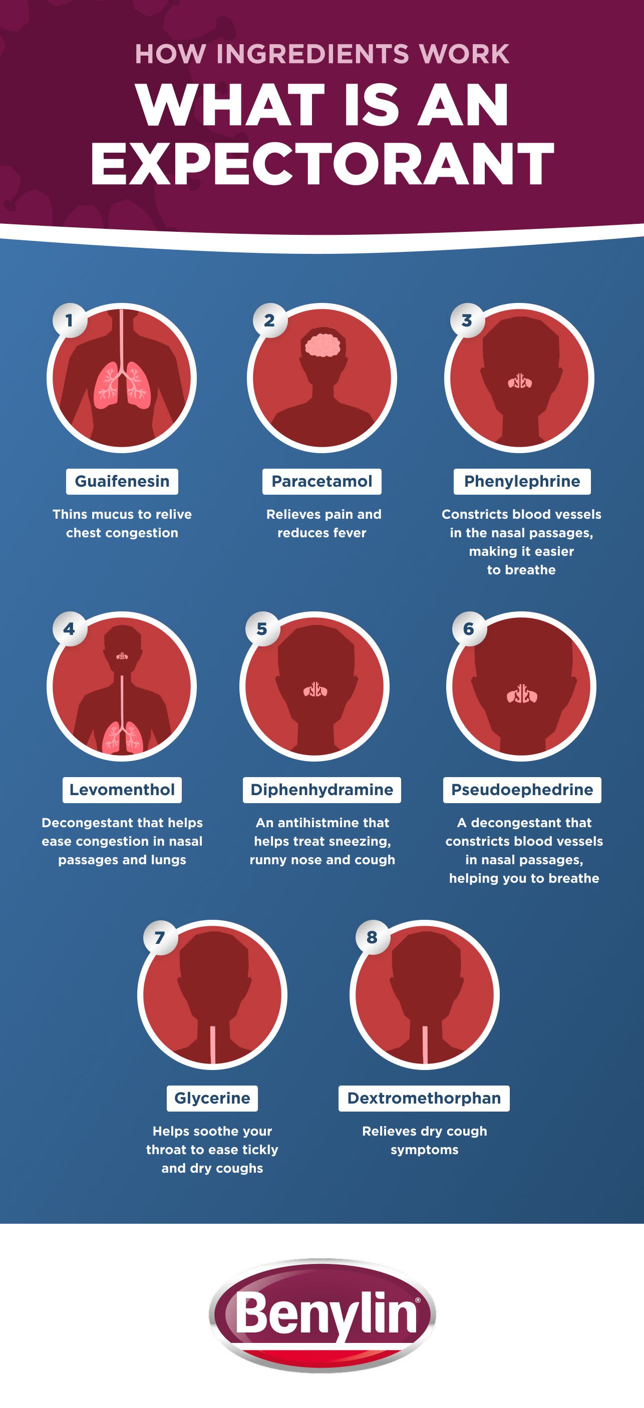 A Guide to BENYLIN® Ingredients