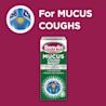 Image showing packshot of Benylin Mucus Cough Night with the title: For mucus coughs