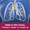 Image showing a drawing of lungs with the caption: Helps to thin mucus, making it easier to cough up