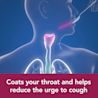 Image showing what Benylin Dry and Tickly Cough Syrup does