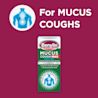 Image showing packshot of Benylin Mucus Cough Max Menthol with the title: For mucus coughs