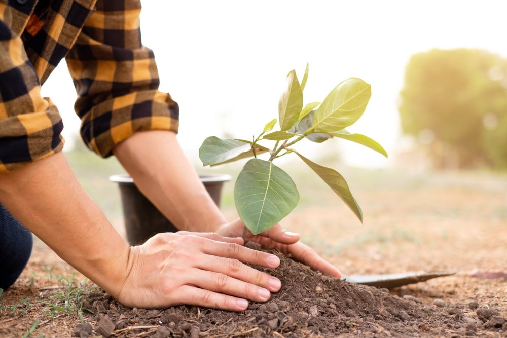 Benefits ogf Loans