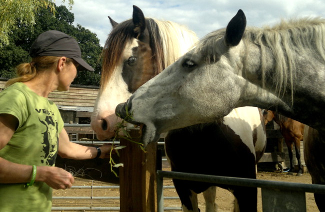 Fiona with her horses Geoffrey and Olivia