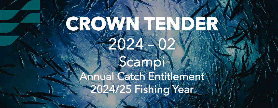 Crown Tender 2024-02 Scampi ACE 