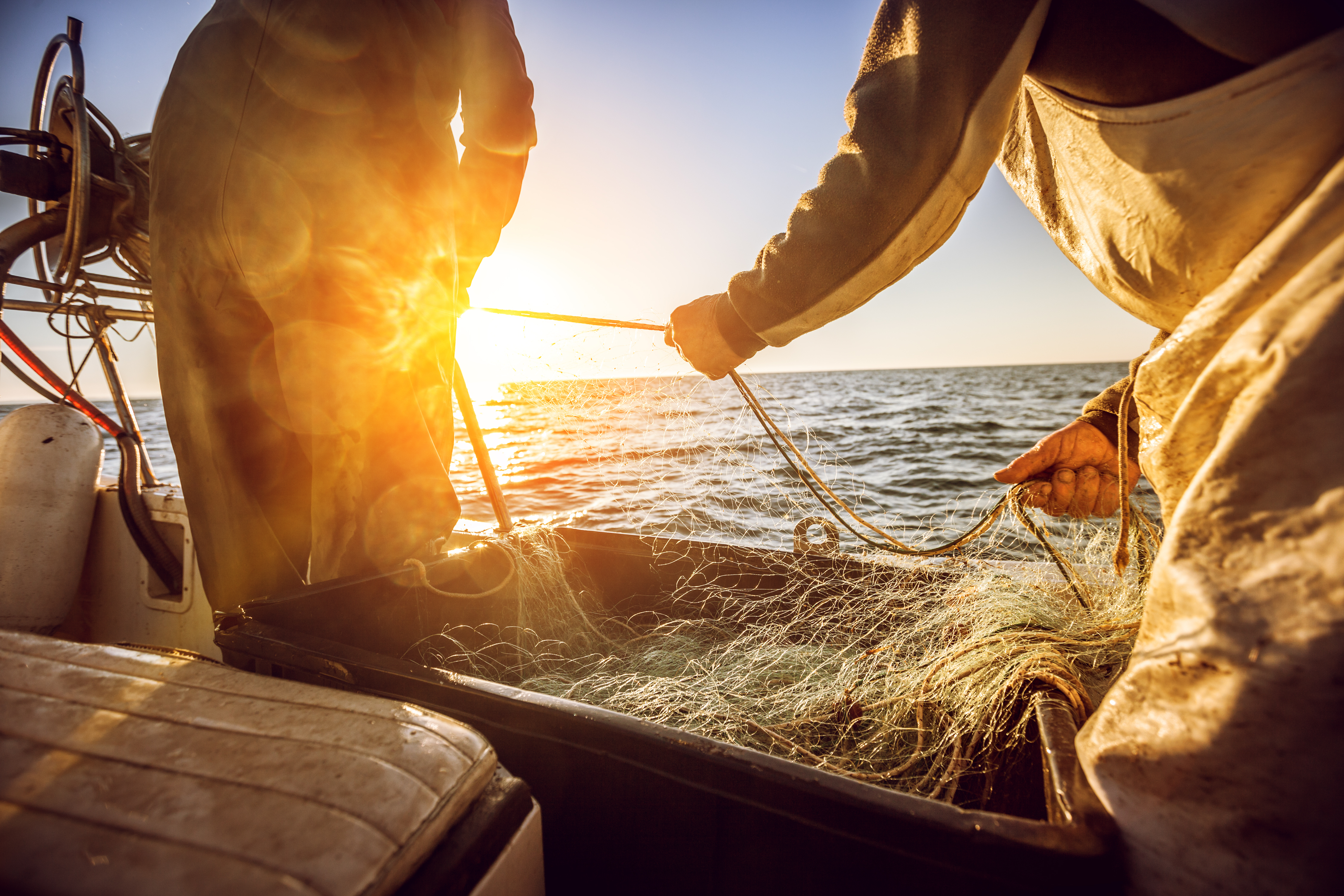 The early morning catch.