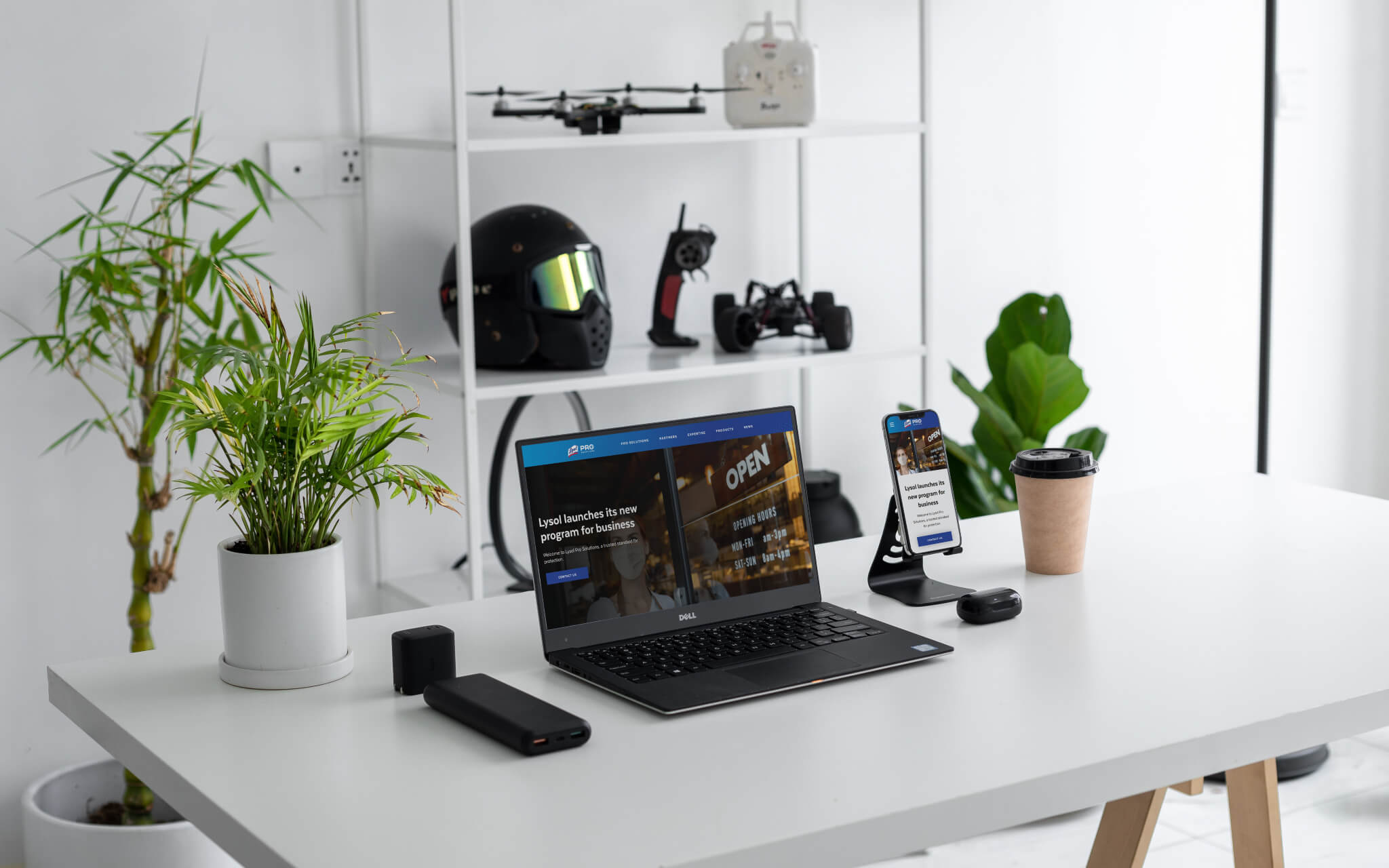 Lysol Pro - more information