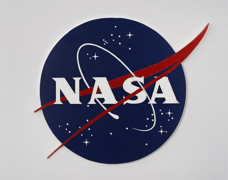  Tom Sachs, Nasa Meatball Logo, Color, 2007 