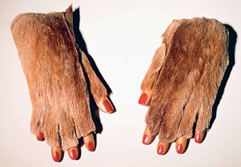 Meret oppenheim  fur gloves with wooden fingernails  1936