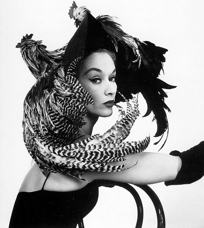 Lisa fonssagrives in chicken hat  1948   irving penn