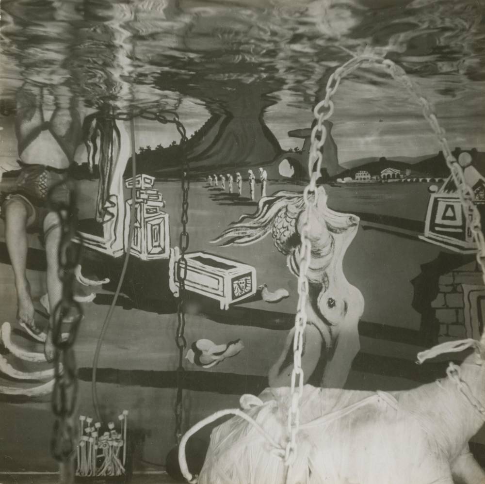  Salvador Dali, Inside the Dream of Venus pool 