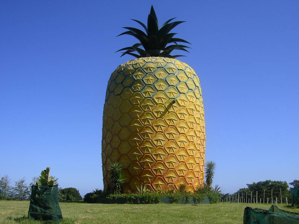  The Big Pineapple, Bathurst, South Africa 