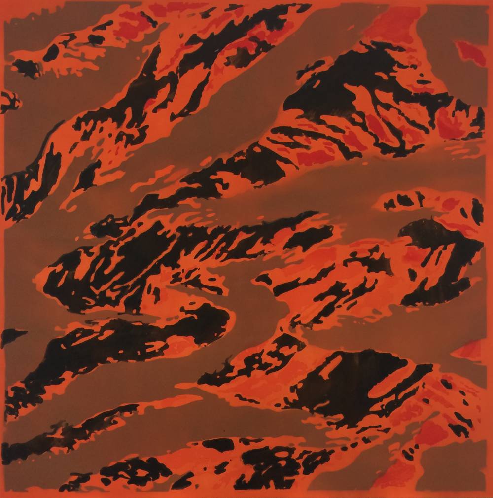 Lucien smith.  l  untitled  camo brown magma 
