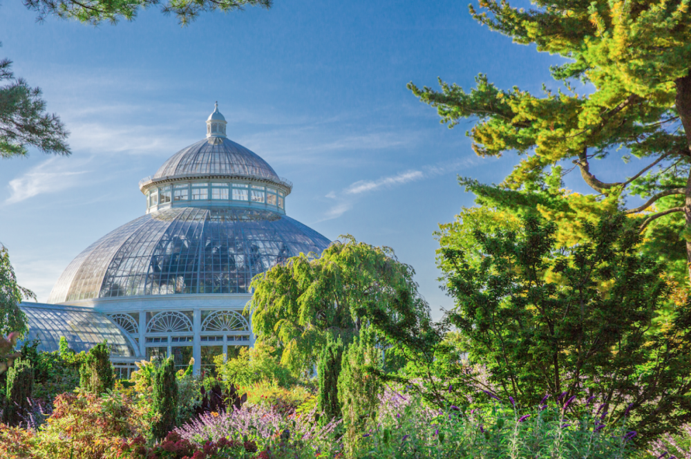  NYBG , Conservatory 