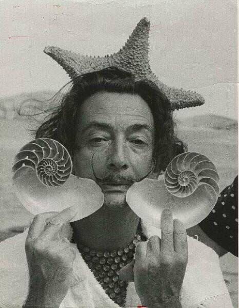  Salvador Dalí , With Starfish and Shells 