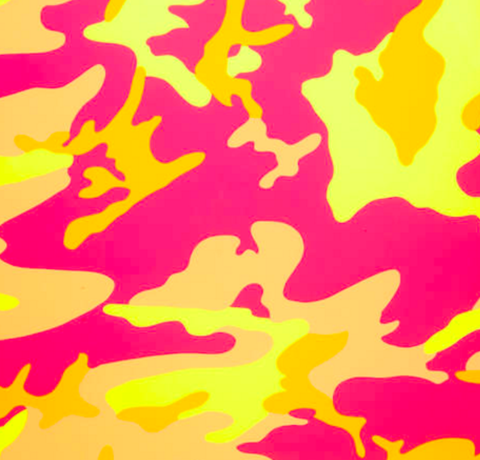 Andy warhol  camouflage 409  1987