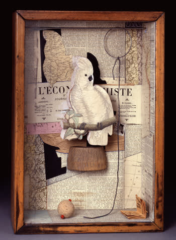 Parrot for juan gris  joseph cornell  1953