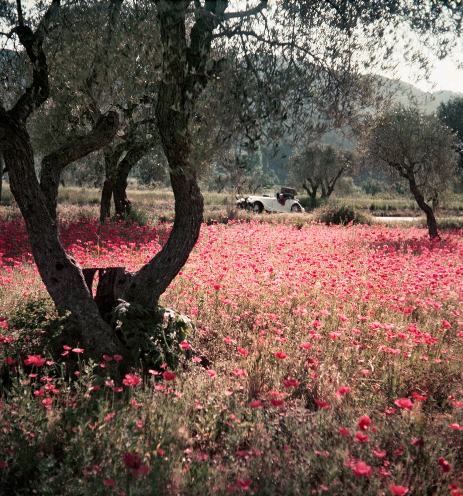 Florette dans la morgan  provence  may 1954  jacques henri lartigue   life in color