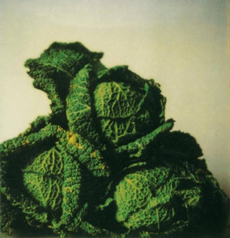 Cy twombly  cabbages  negative 1998  print 2009