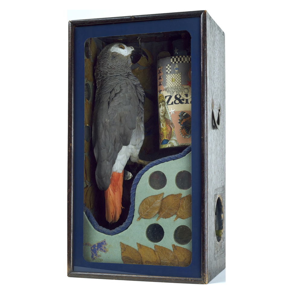  Joseph Cornell , Untitled (Fortune-Telling Parrot for Carmen Miranda), 1939 