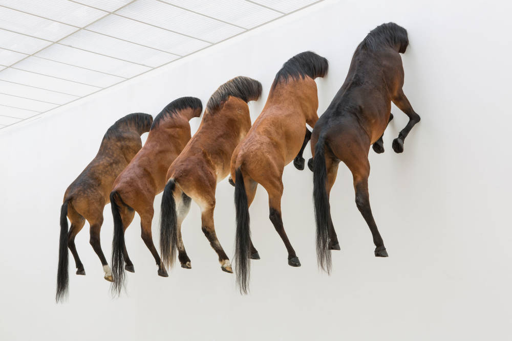 Maurizio cattelan  untitled  2007  taxidermied horses  installation view of kaputt  fondation beyeler