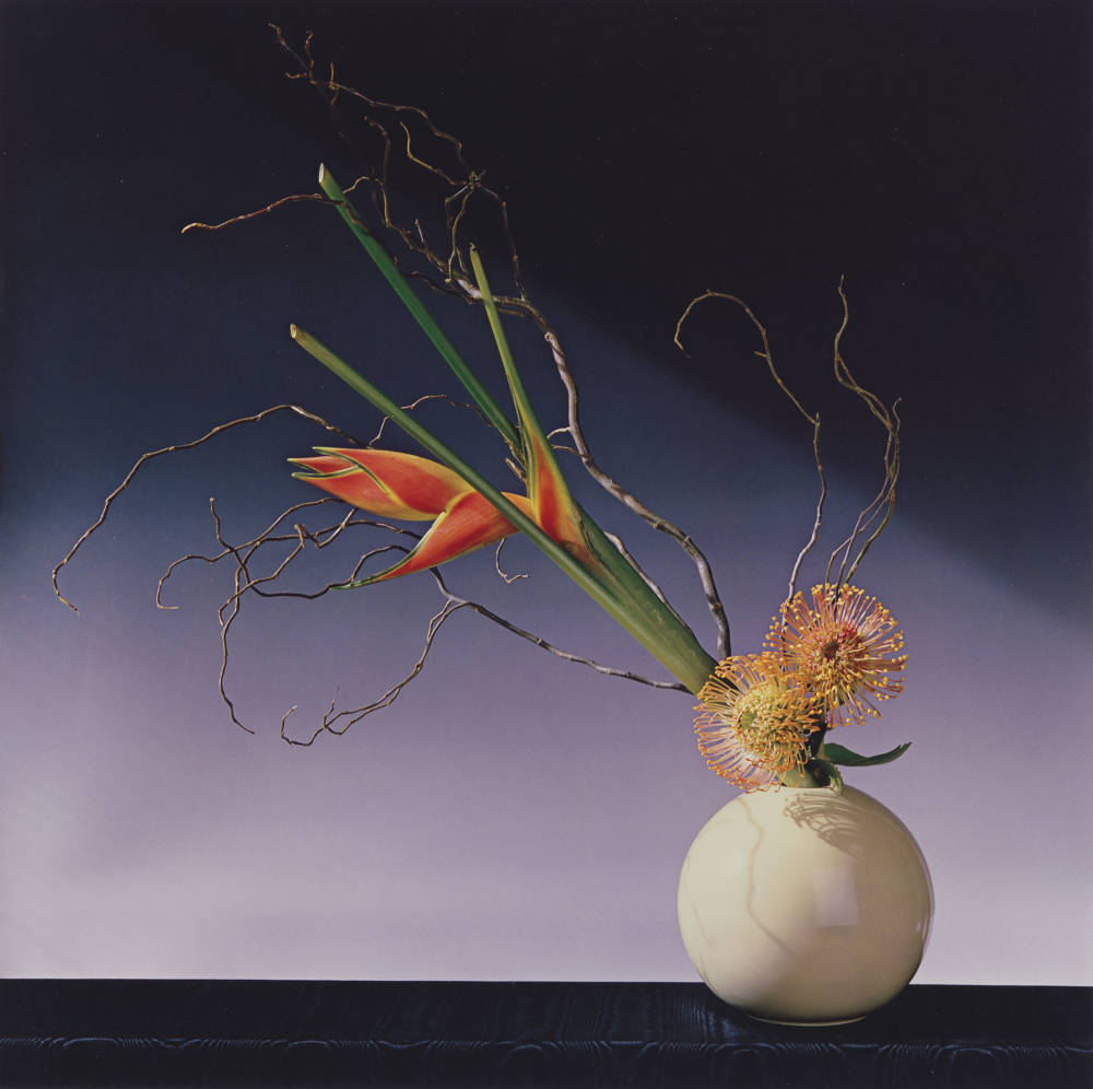  Robert Mapplethorpe , Flower Arrangement (Inspired by Ikebana), 1988 