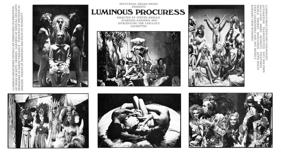  Steven Arnold, Luminous Procuress Flyer, 1971 