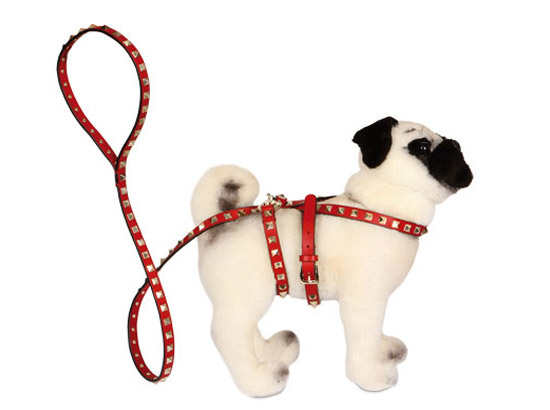 Valentino dog discount collar