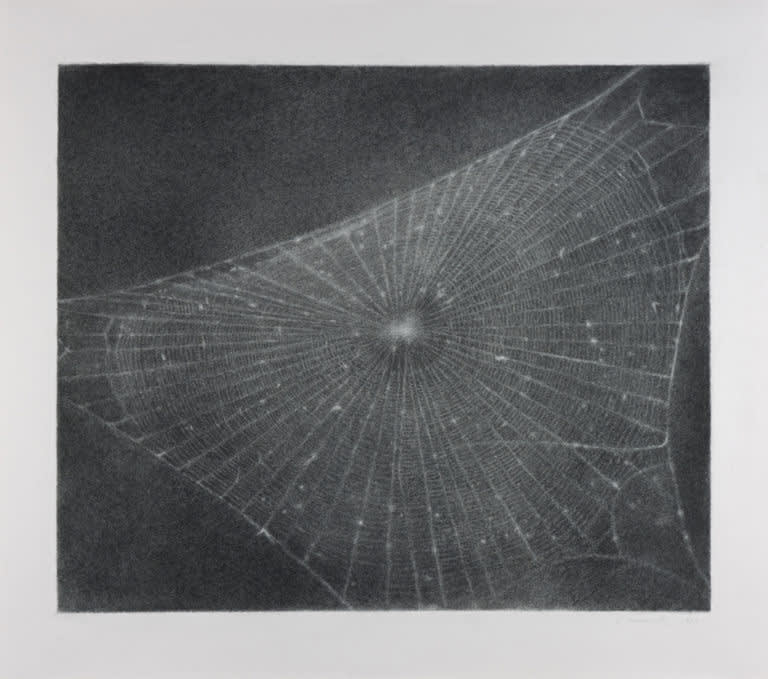  Vija Celmins, Web #1, 1998 