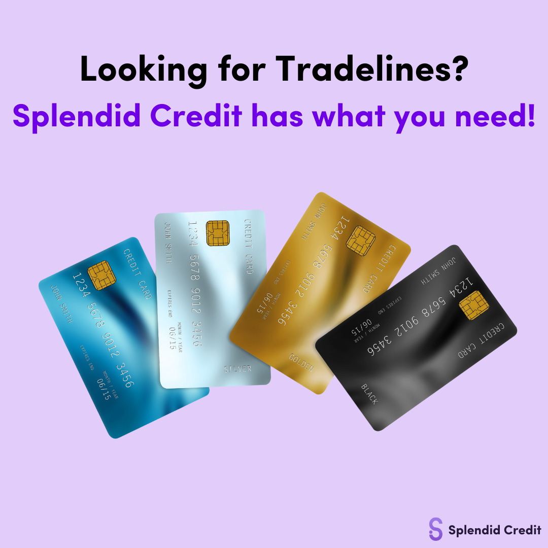 Splendid Credit Tradelines